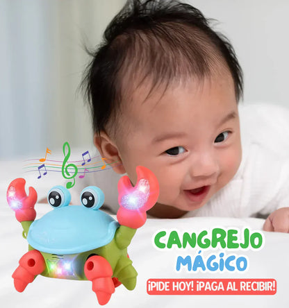CANGREJO FUGITIVO - ENVIO GRATIS 🎁